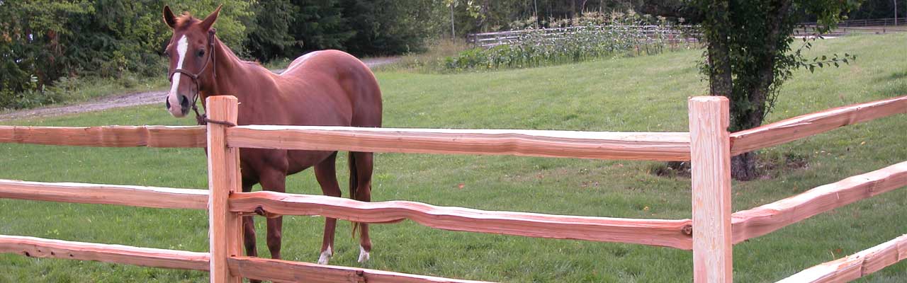 Three Rail Split Cedar Fencing