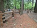 Classic Old Country Stacking Rail - 1