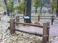 Classic Old Country Stacking Rail - 22