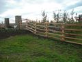 Line & Wildlife Rail - 4