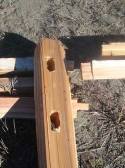 Post and Rail Detail
